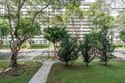 Blk 421 Woodlands Street 41 (Woodlands), HDB 4 Rooms #592466951